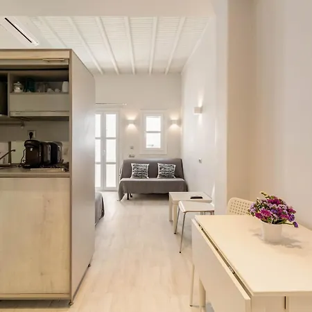 Elenitas Flat Next To The Windmills Apartamento Mykonos Town